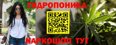 PSILOCYBIN Будённовск
