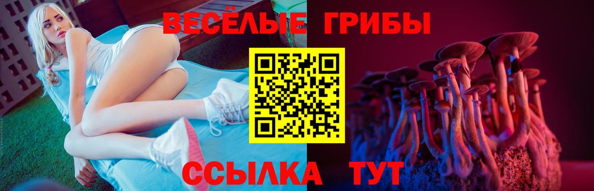 Псилоцибиновые грибы Magic Shrooms Салават
